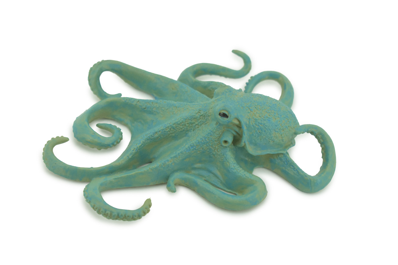 Octopus, Octopodes, Octopoda, Blue Octopi, Museum Quality, Hand Painted, Hard Rubber, Realistic Figure, Toy, Kids, Educational, Gift,      5"       CH284 BB178