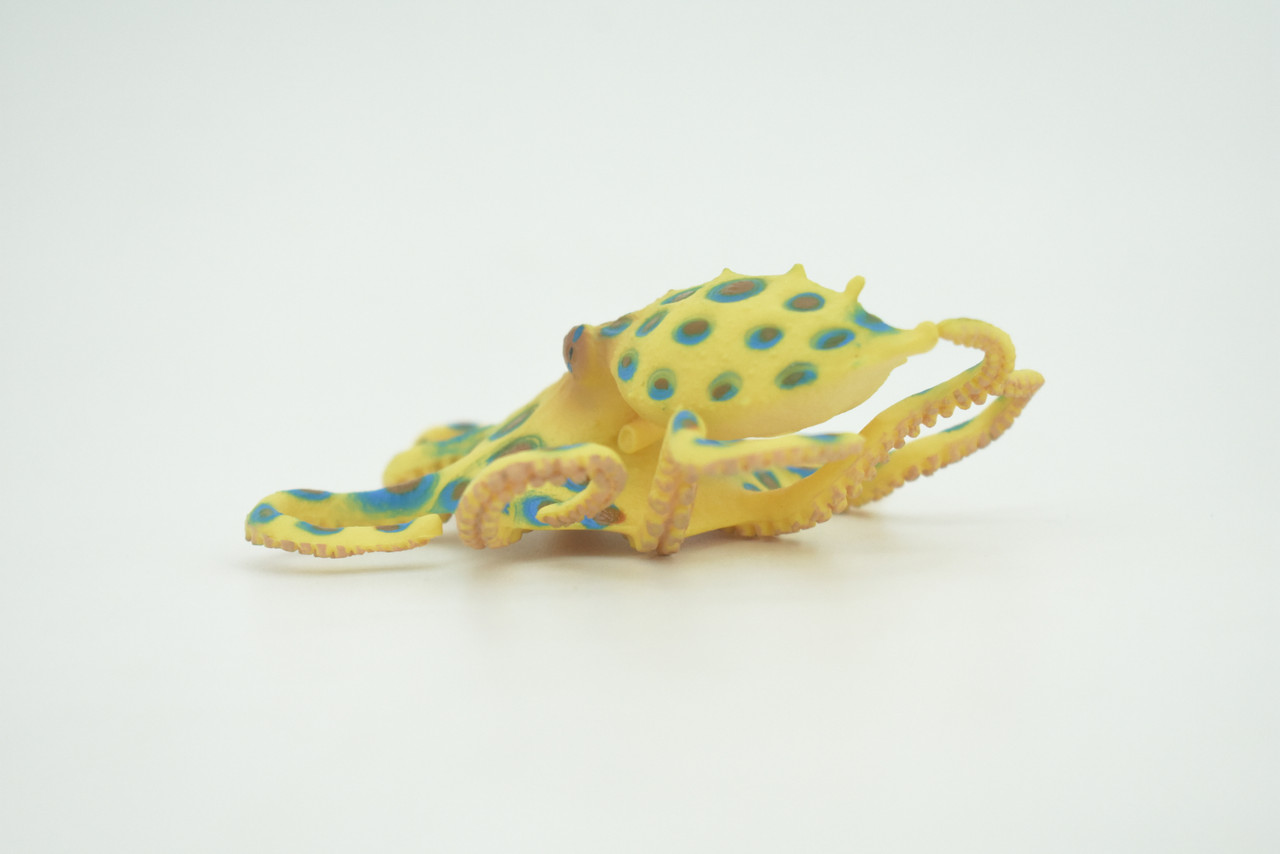 Octopus, Blue-ringed octopuses, Octopodes, Octopoda,Museum Quality, Hand Painted, Hard Rubber, Realistic, Model, Replica, Kids, Educational, Gift,   4 1/2"  CH289  BB179