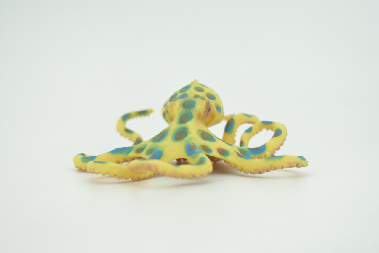 Octopus, Blue-ringed octopuses, Octopodes, Octopoda,Museum Quality, Hand Painted, Hard Rubber, Realistic, Model, Replica, Kids, Educational, Gift,   4 1/2"  CH289  BB179