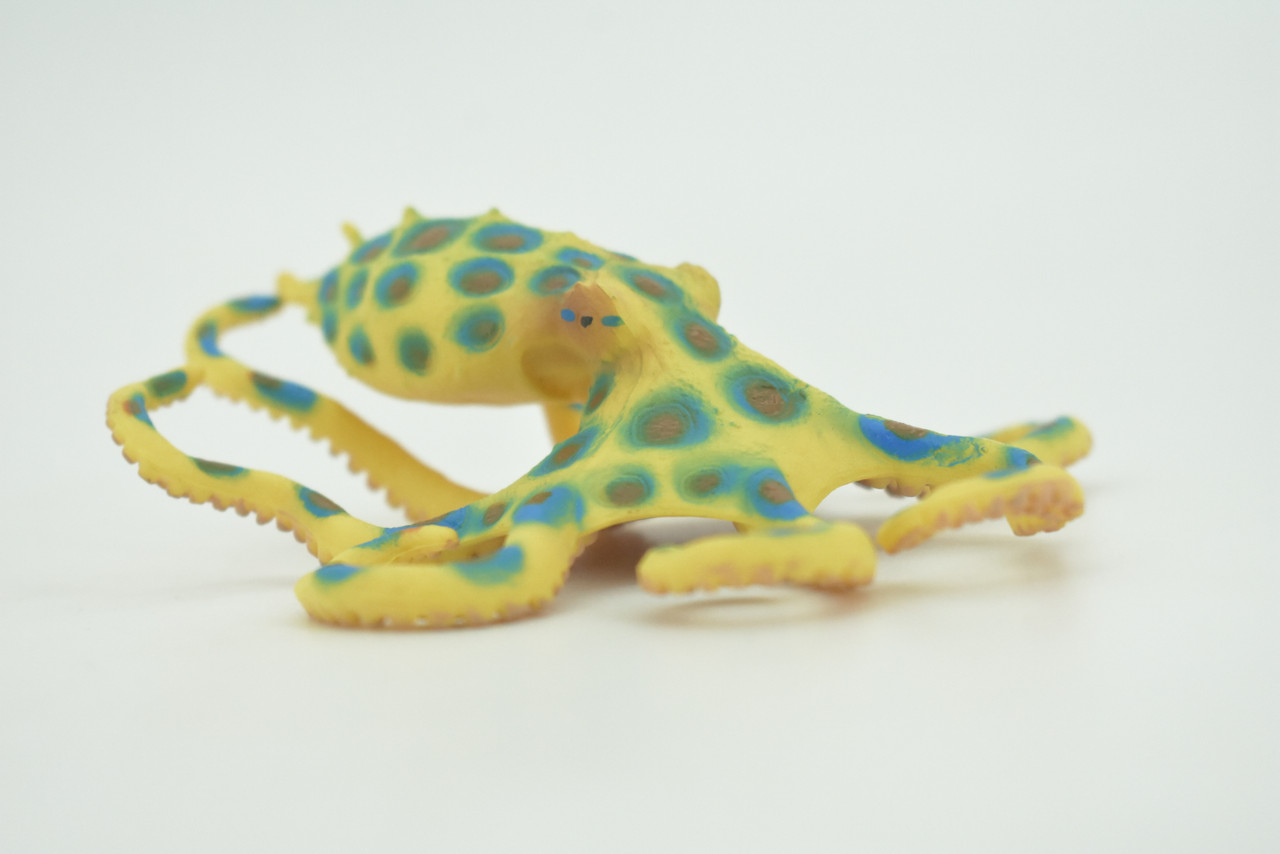 Octopus, Blue-ringed octopuses, Octopodes, Octopoda,Museum Quality, Hand Painted, Hard Rubber, Realistic, Model, Replica, Kids, Educational, Gift,   4 1/2"  CH289  BB179