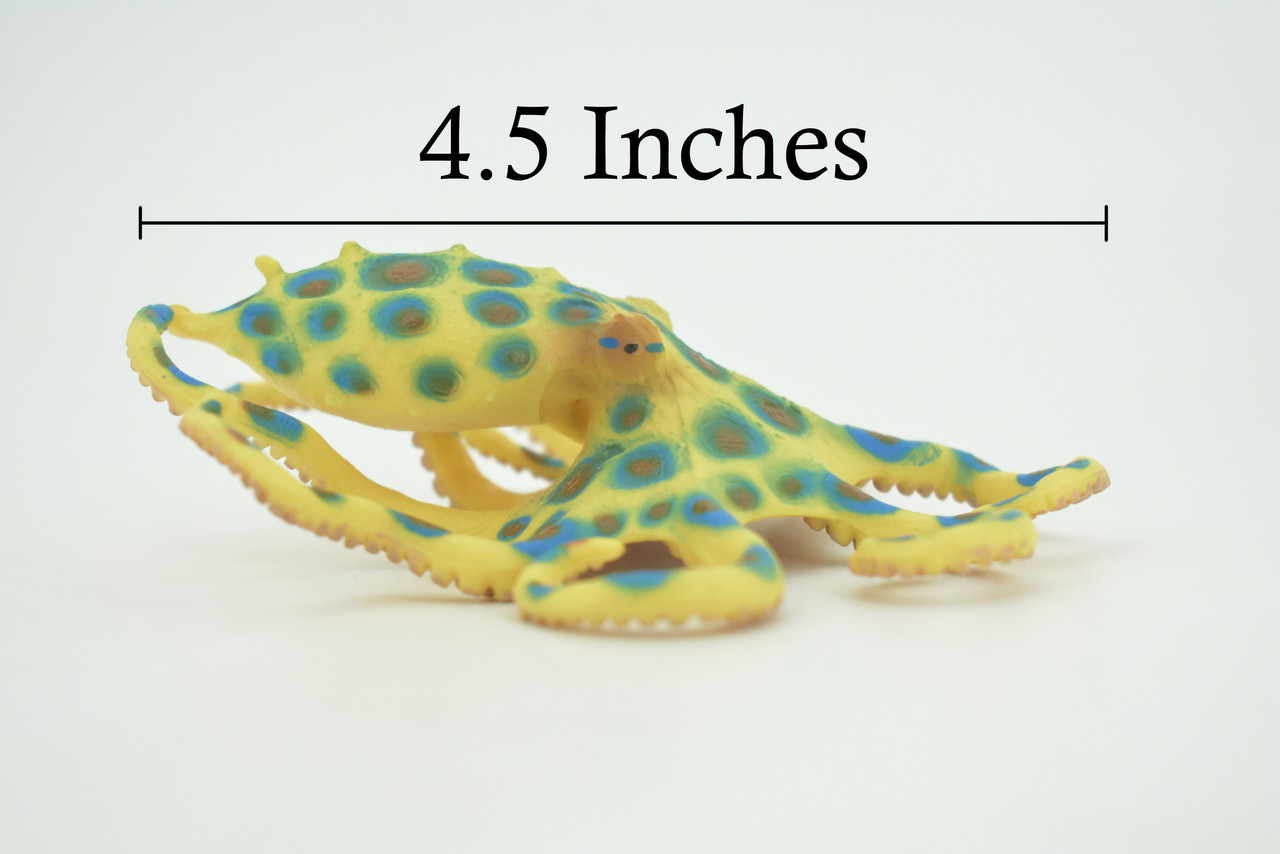Octopus, Blue-ringed octopuses, Octopodes, Octopoda,Museum Quality, Hand Painted, Hard Rubber, Realistic, Model, Replica, Kids, Educational, Gift,   4 1/2"  CH289  BB179