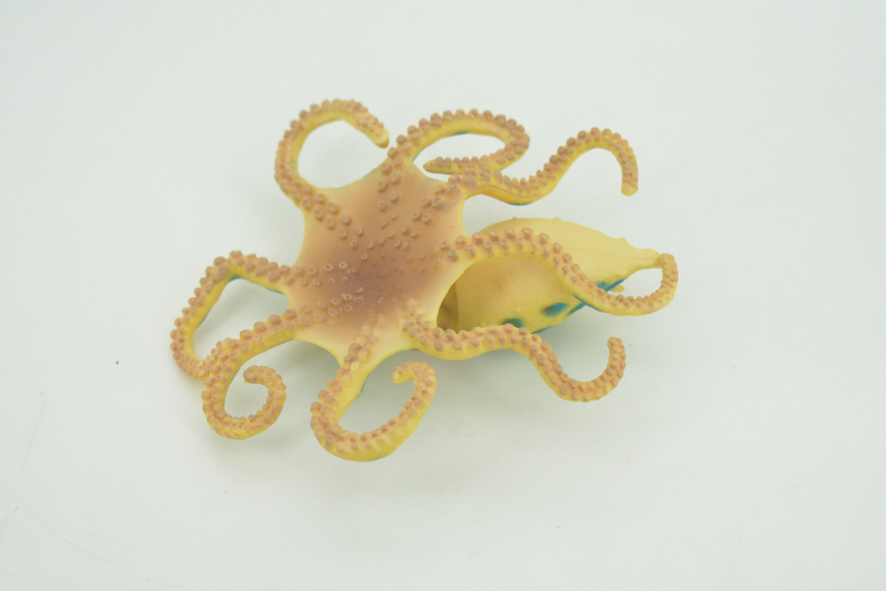 Octopus, Blue-ringed octopuses, Octopodes, Octopoda,Museum Quality, Hand Painted, Hard Rubber, Realistic, Model, Replica, Kids, Educational, Gift,   4 1/2"  CH289  BB179