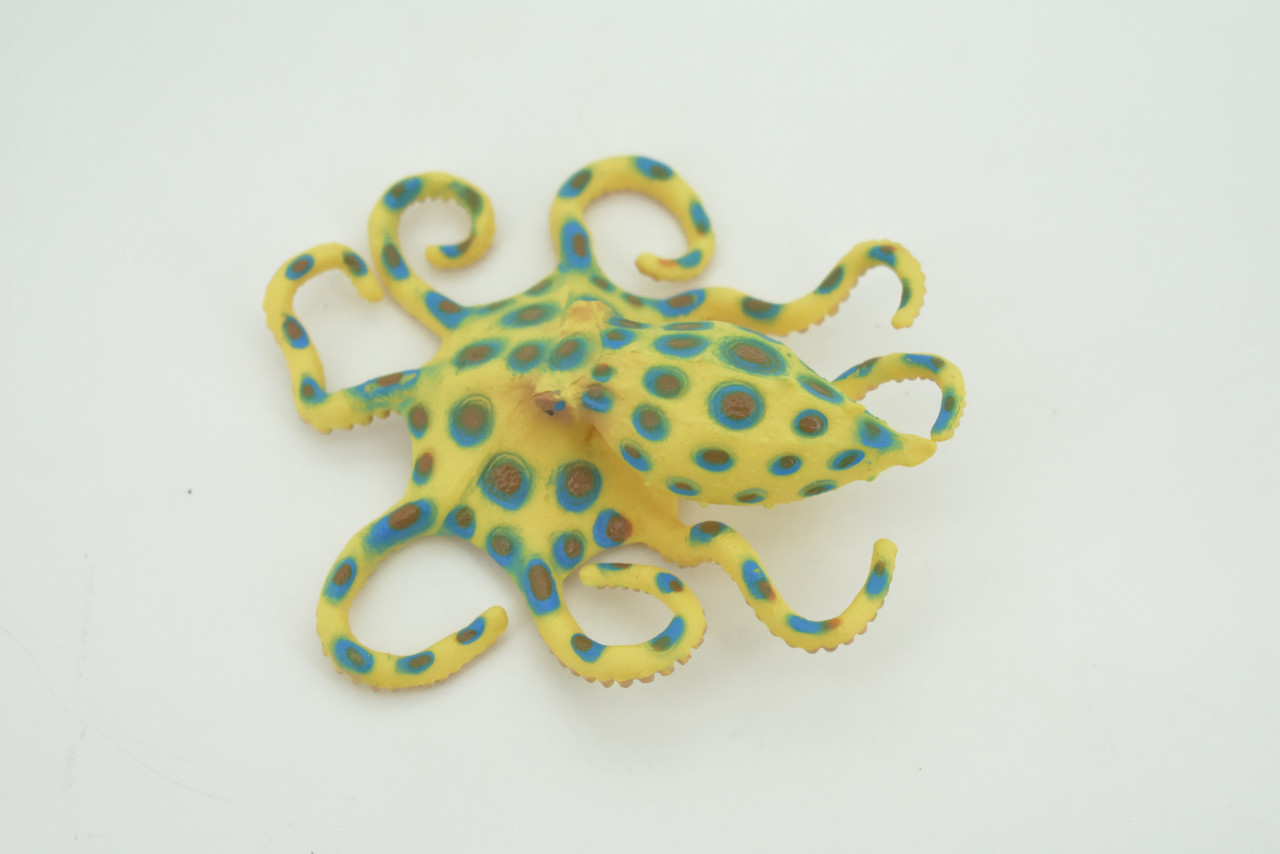 Octopus, Blue-ringed octopuses, Octopodes, Octopoda,Museum Quality, Hand Painted, Hard Rubber, Realistic, Model, Replica, Kids, Educational, Gift,   4 1/2"  CH289  BB179