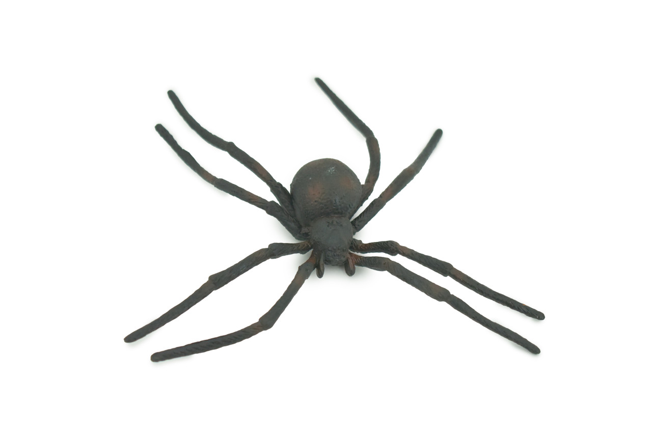 Spider, Black Widow, Latrodectus, High Quality, Hand Painted, Hard Rubber, Insect, Realistic, Figure, Model, Replica, Toy, Kids, Educational, Gift,     4"   CH290 BB179