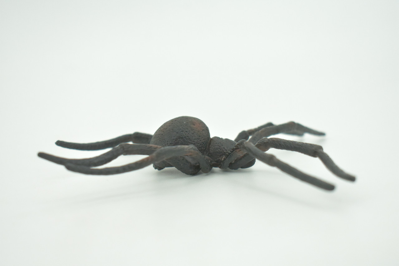 Spider, Black Widow, Latrodectus, High Quality, Hand Painted, Hard Rubber, Insect, Realistic, Figure, Model, Replica, Toy, Kids, Educational, Gift,     4"   CH290 BB179