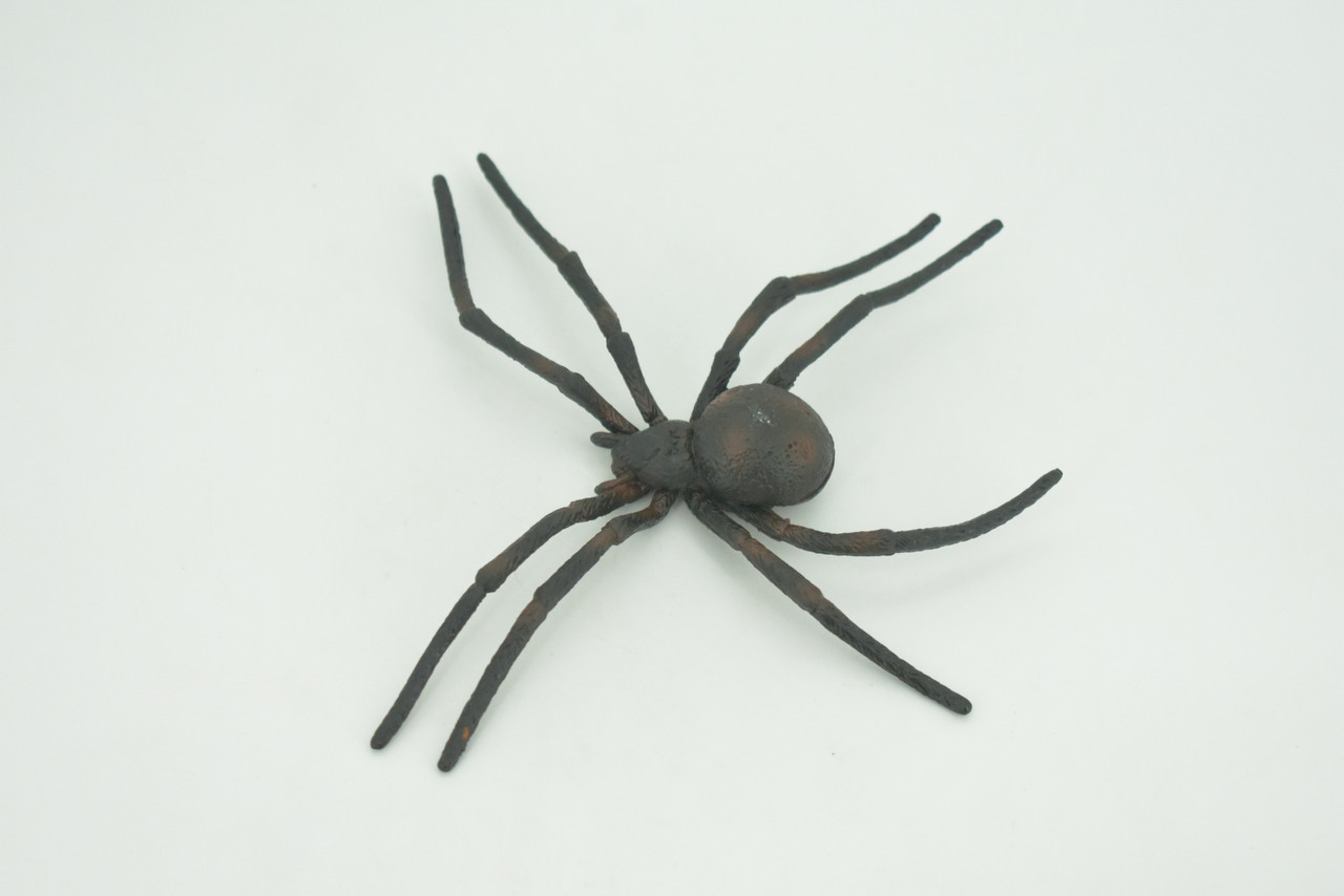 Spider, Black Widow, Latrodectus, High Quality, Hand Painted, Hard Rubber, Insect, Realistic, Figure, Model, Replica, Toy, Kids, Educational, Gift,     4"   CH290 BB179