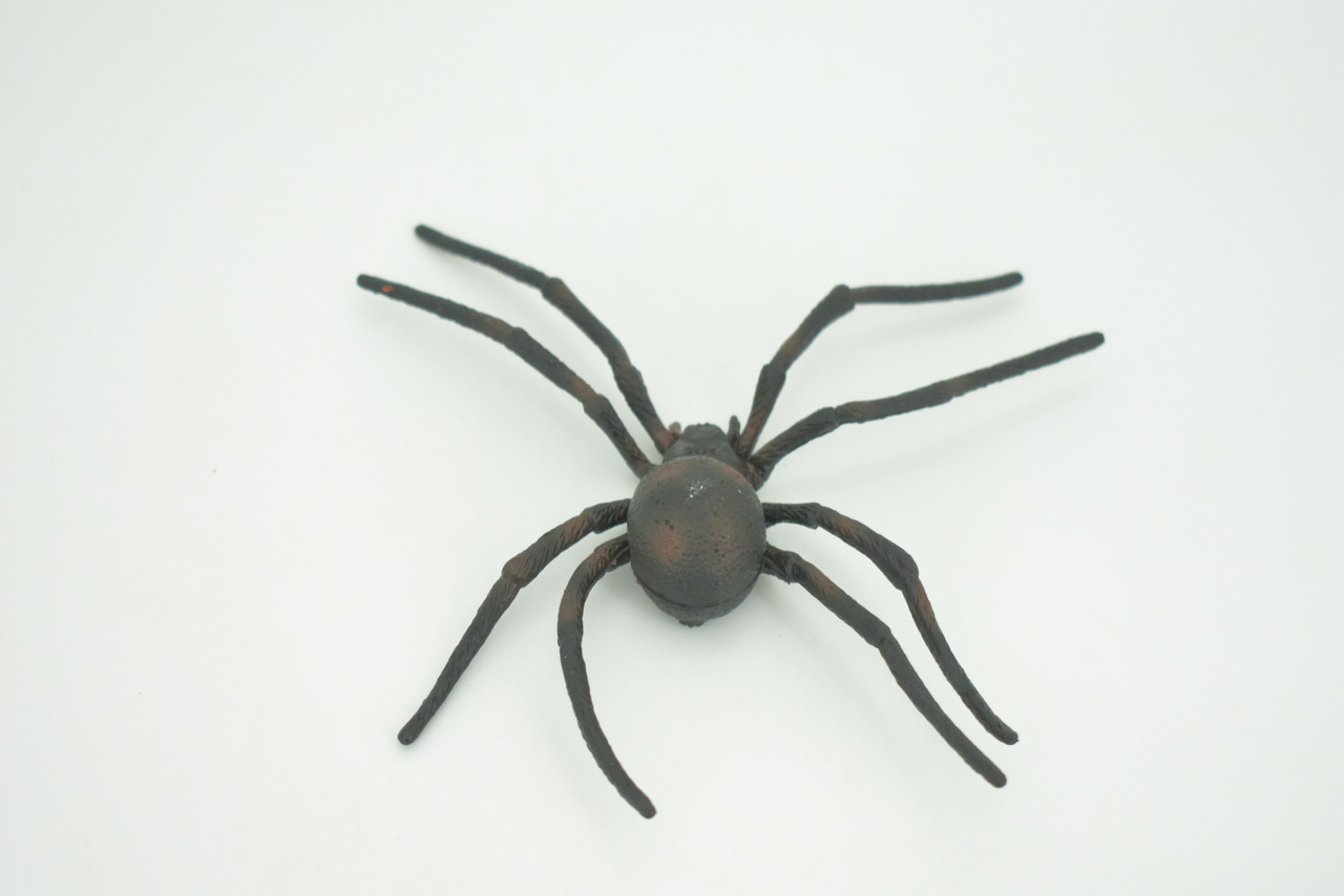 Spider, Black Widow, Latrodectus, High Quality, Hand Painted, Hard Rubber, Insect, Realistic, Figure, Model, Replica, Toy, Kids, Educational, Gift,     4"   CH290 BB179