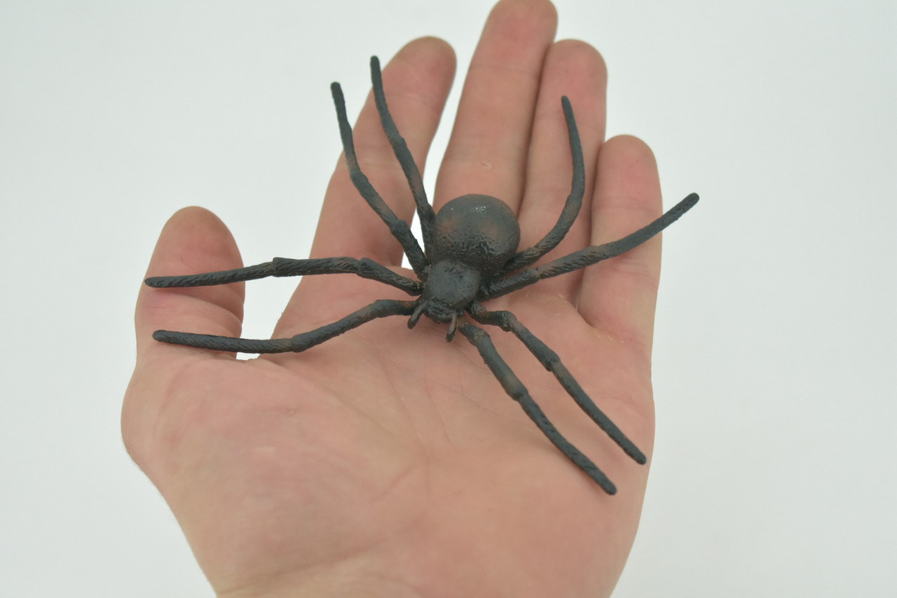 Spider, Black Widow, Latrodectus, High Quality, Hand Painted, Hard Rubber, Insect, Realistic, Figure, Model, Replica, Toy, Kids, Educational, Gift,     4"   CH290 BB179