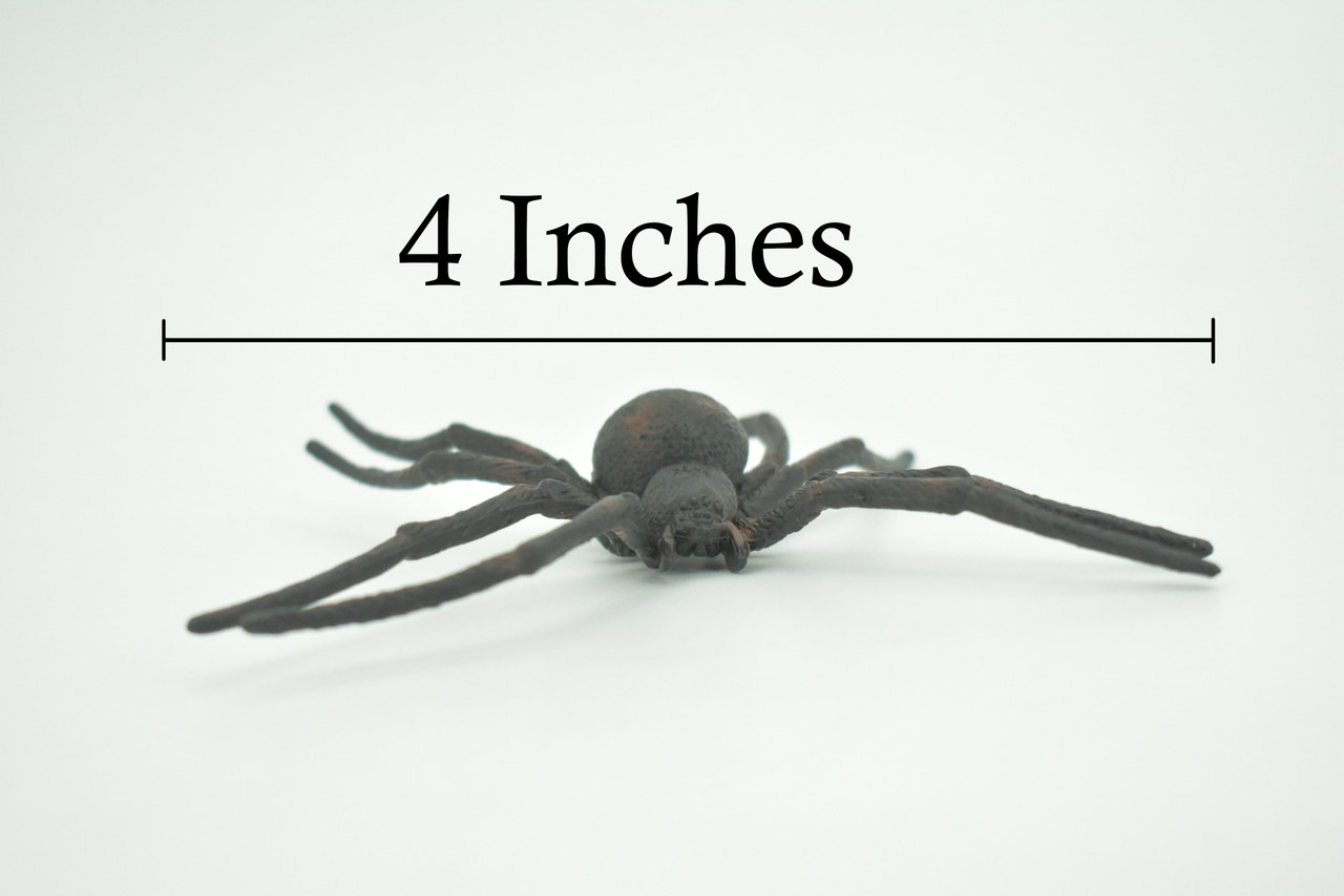 Spider, Black Widow, Latrodectus, High Quality, Hand Painted, Hard Rubber, Insect, Realistic, Figure, Model, Replica, Toy, Kids, Educational, Gift,     4"   CH290 BB179