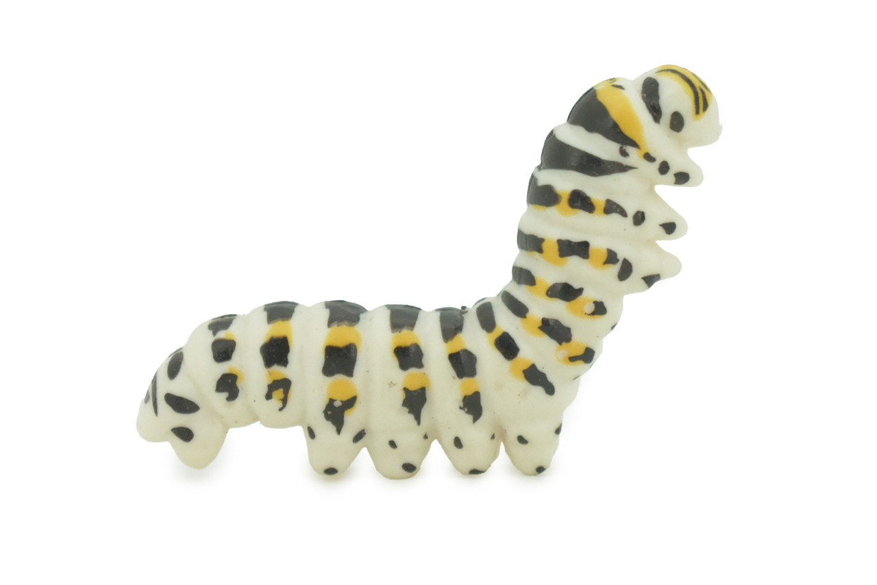 Caterpillar, larva of a butterfly or moth, High Quality, Hand Painted, Hard Rubber, Insect, Realistic, Figure, Model, Replica, Toy, Kids, Educational, Gift,   2"   CH291 BB179
