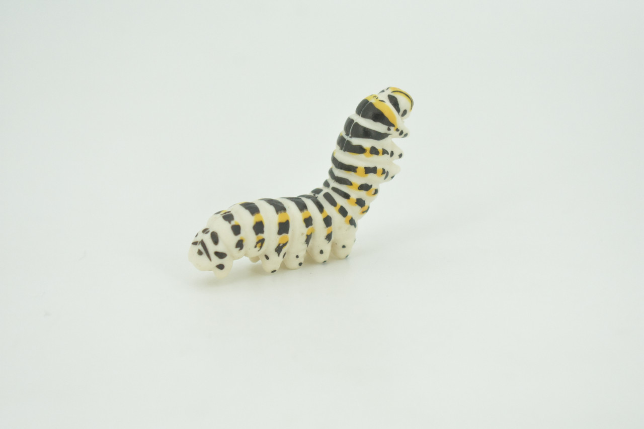 Caterpillar, larva of a butterfly or moth, High Quality, Hand Painted, Hard Rubber, Insect, Realistic, Figure, Model, Replica, Toy, Kids, Educational, Gift,   2"   CH291 BB179