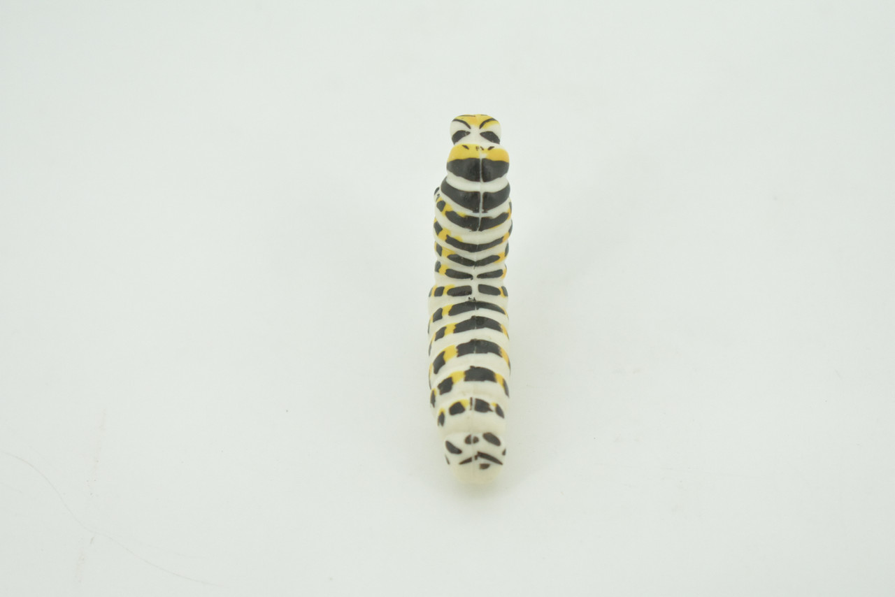 Caterpillar, larva of a butterfly or moth, High Quality, Hand Painted, Hard Rubber, Insect, Realistic, Figure, Model, Replica, Toy, Kids, Educational, Gift,   2"   CH291 BB179