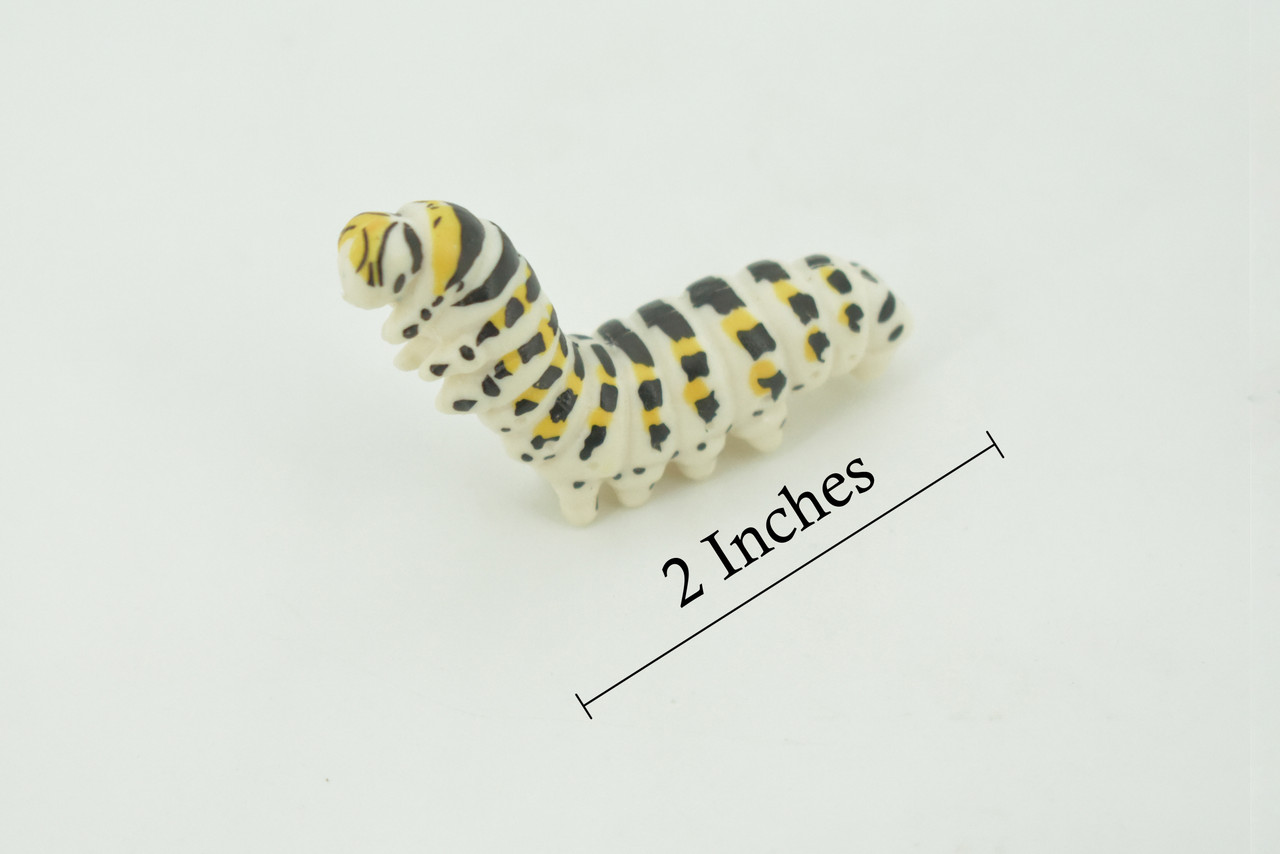 Caterpillar, larva of a butterfly or moth, High Quality, Hand Painted, Hard Rubber, Insect, Realistic, Figure, Model, Replica, Toy, Kids, Educational, Gift,   2"   CH291 BB179