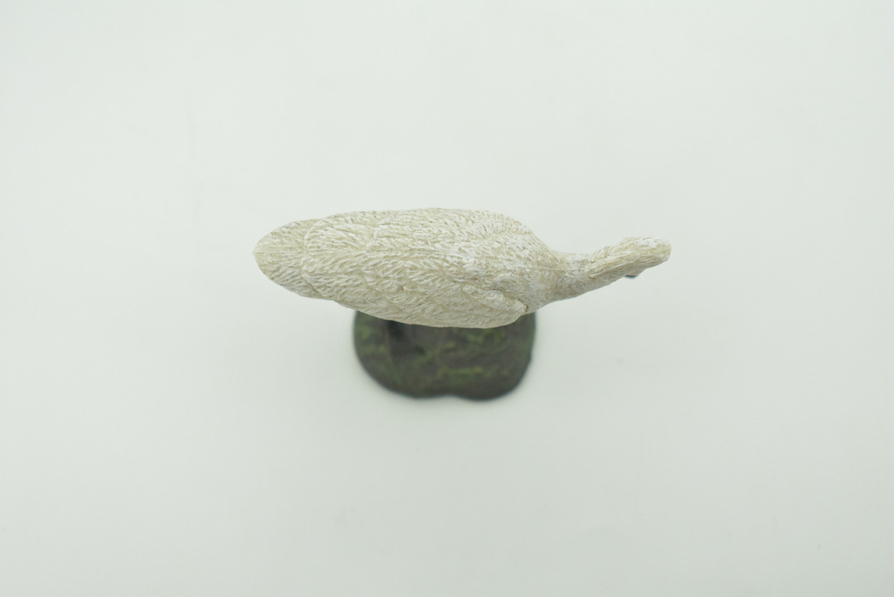 Bird, Spoonbill, White, Very Realistic, Museum Quality, Hand Painted, Hard Rubber, Realistic, Model, Replica, Kids, Educational, Gift,     3"    CH292 BB179