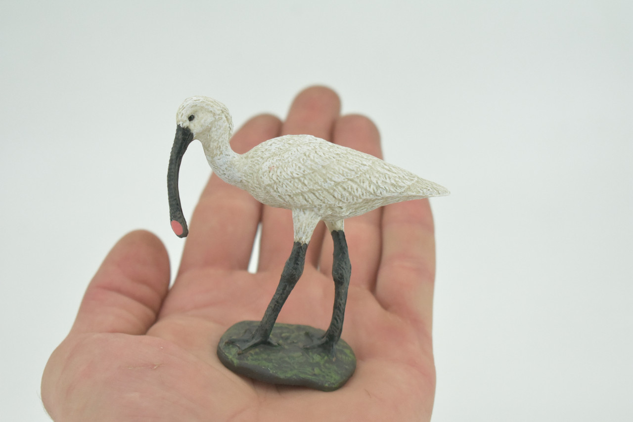Bird, Spoonbill, White, Very Realistic, Museum Quality, Hand Painted, Hard Rubber, Realistic, Model, Replica, Kids, Educational, Gift,     3"    CH292 BB179