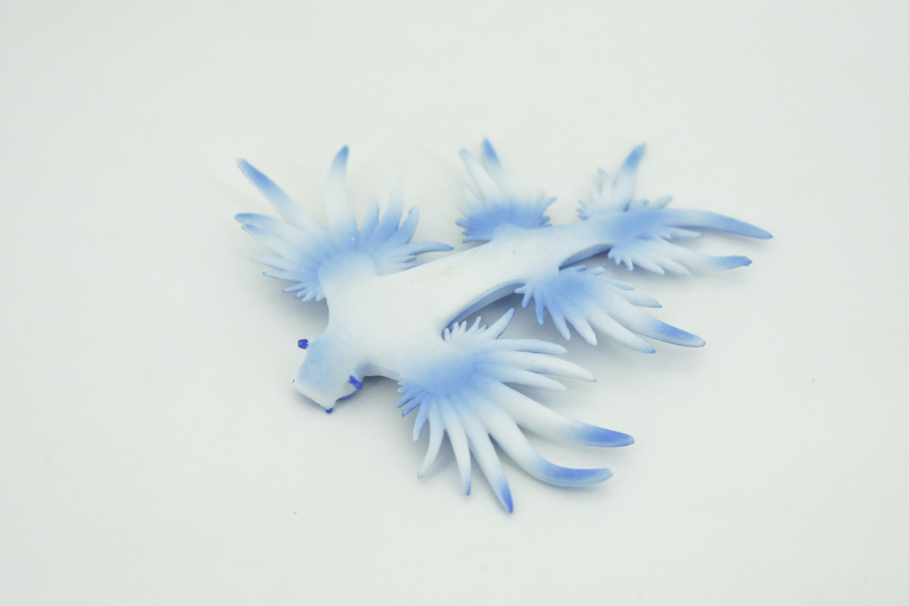 Sea Slug Dragon, Marine Mollusks, Blue, Museum Quality, Hand Painted, Rubber Gastropod, Realistic Toy, Figure, Model, Replica, Kids, Educational, Gift,  3 1/2"   CH293 BB179