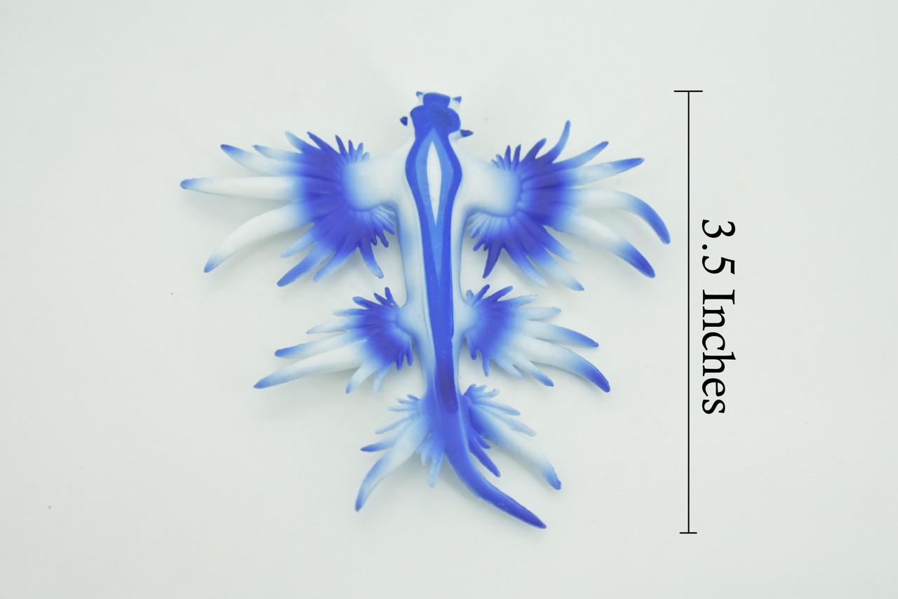 Sea Slug Dragon, Marine Mollusks, Blue, Museum Quality, Hand Painted, Rubber Gastropod, Realistic Toy, Figure, Model, Replica, Kids, Educational, Gift,  3 1/2"   CH293 BB179