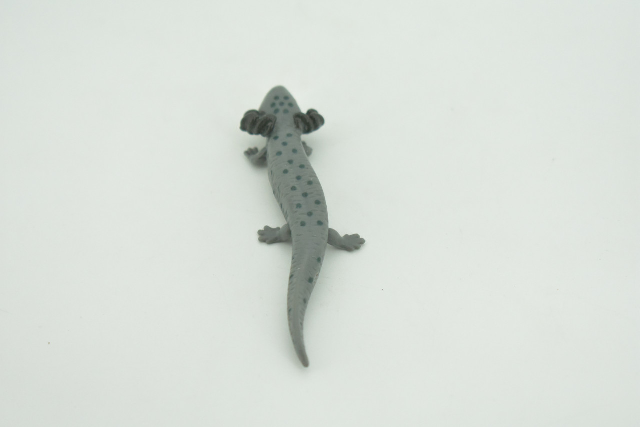 Salamander, Gray, Amphibian, Axolotl, Water Dog,  High Quality, Hand Painted, Hard Rubber, Realistic, Figure, Model, Toy, Kids, Educational, Gift,   3 1/4"   CH294 BB179