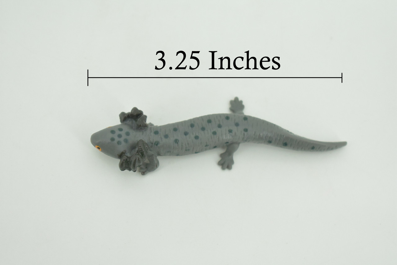 Salamander, Gray, Amphibian, Axolotl, Water Dog,  High Quality, Hand Painted, Hard Rubber, Realistic, Figure, Model, Toy, Kids, Educational, Gift,   3 1/4"   CH294 BB179