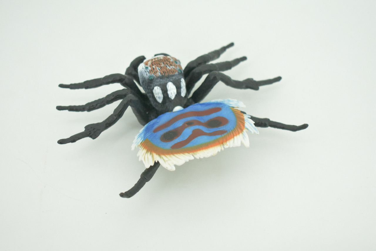 Peacock Spider, Jumping Spiders, Maratus, Museum Quality, Hand Painted, Realistic, Rubber, Insect, Figure, Model, Toy, Kids, Educational, Gift    4 1/2"    CH300 BB181