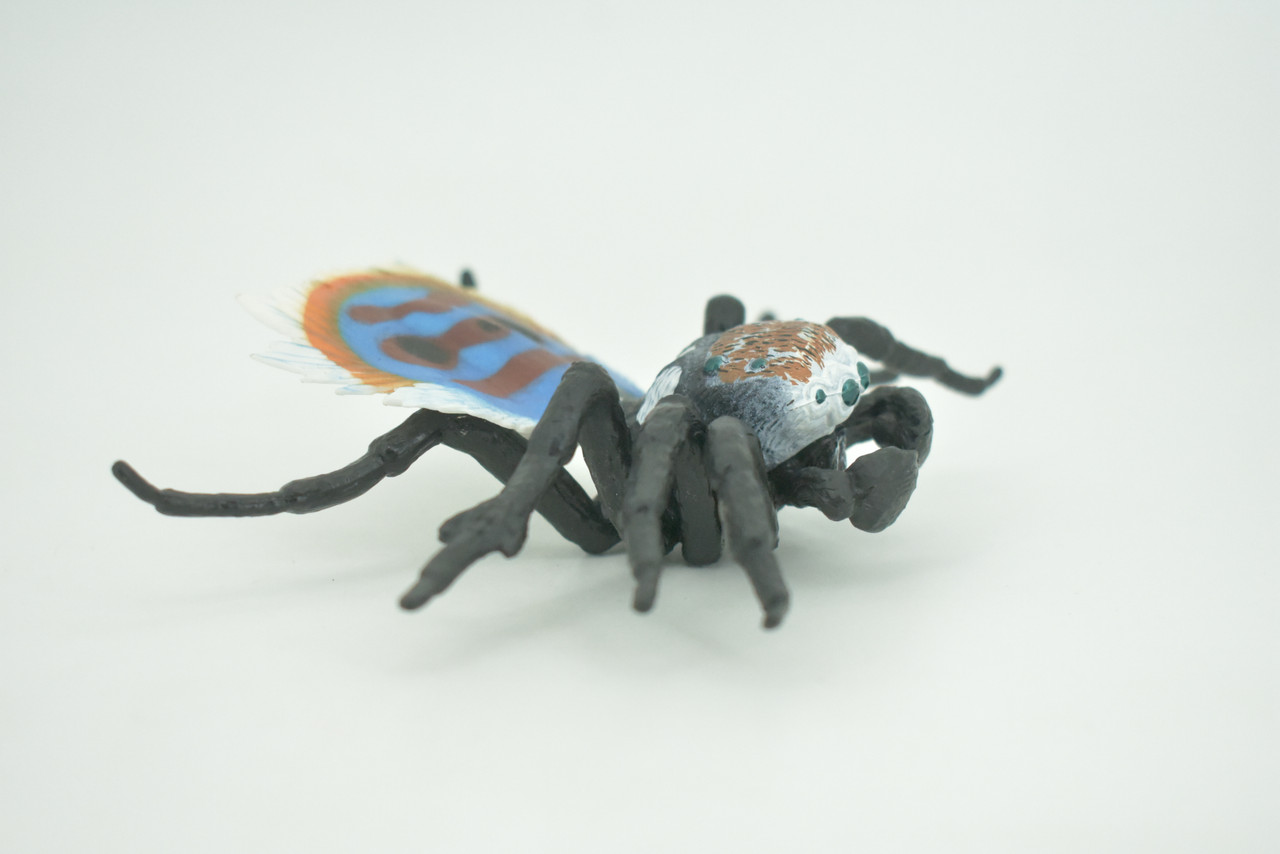 Peacock Spider, Jumping Spiders, Maratus, Museum Quality, Hand Painted, Realistic, Rubber, Insect, Figure, Model, Toy, Kids, Educational, Gift    4 1/2"    CH300 BB181