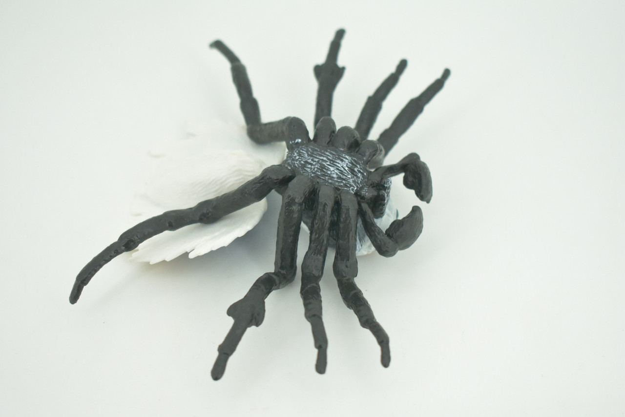 Peacock Spider, Jumping Spiders, Maratus, Museum Quality, Hand Painted, Realistic, Rubber, Insect, Figure, Model, Toy, Kids, Educational, Gift    4 1/2"    CH300 BB181