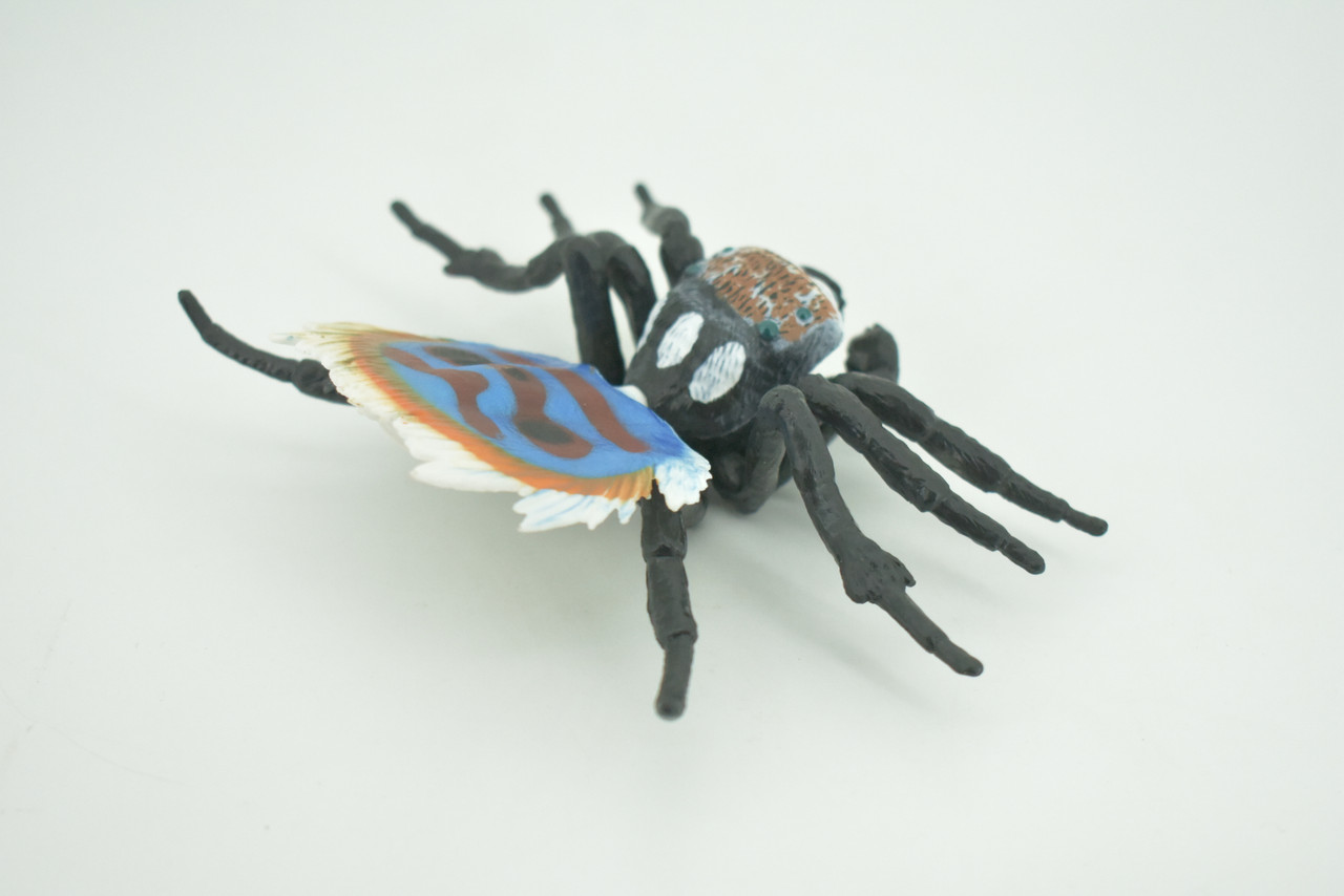 Peacock Spider, Jumping Spiders, Maratus, Museum Quality, Hand Painted, Realistic, Rubber, Insect, Figure, Model, Toy, Kids, Educational, Gift    4 1/2"    CH300 BB181