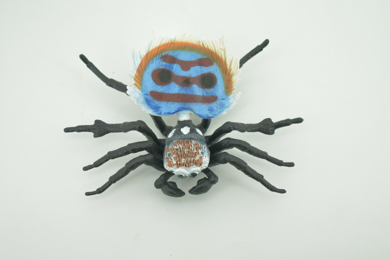 Peacock Spider, Jumping Spiders, Maratus, Museum Quality, Hand Painted, Realistic, Rubber, Insect, Figure, Model, Toy, Kids, Educational, Gift    4 1/2"    CH300 BB181
