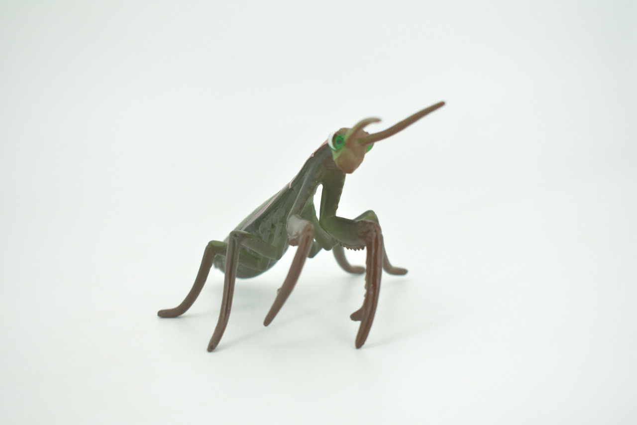 Praying Mantis, Mantodea,  Museum Quality, Rubber Insect, Design, Educational, Hand Painted, Figure, Lifelike Toy, Model, Figurine, Replica, Gift,   5"   CH302 BB181