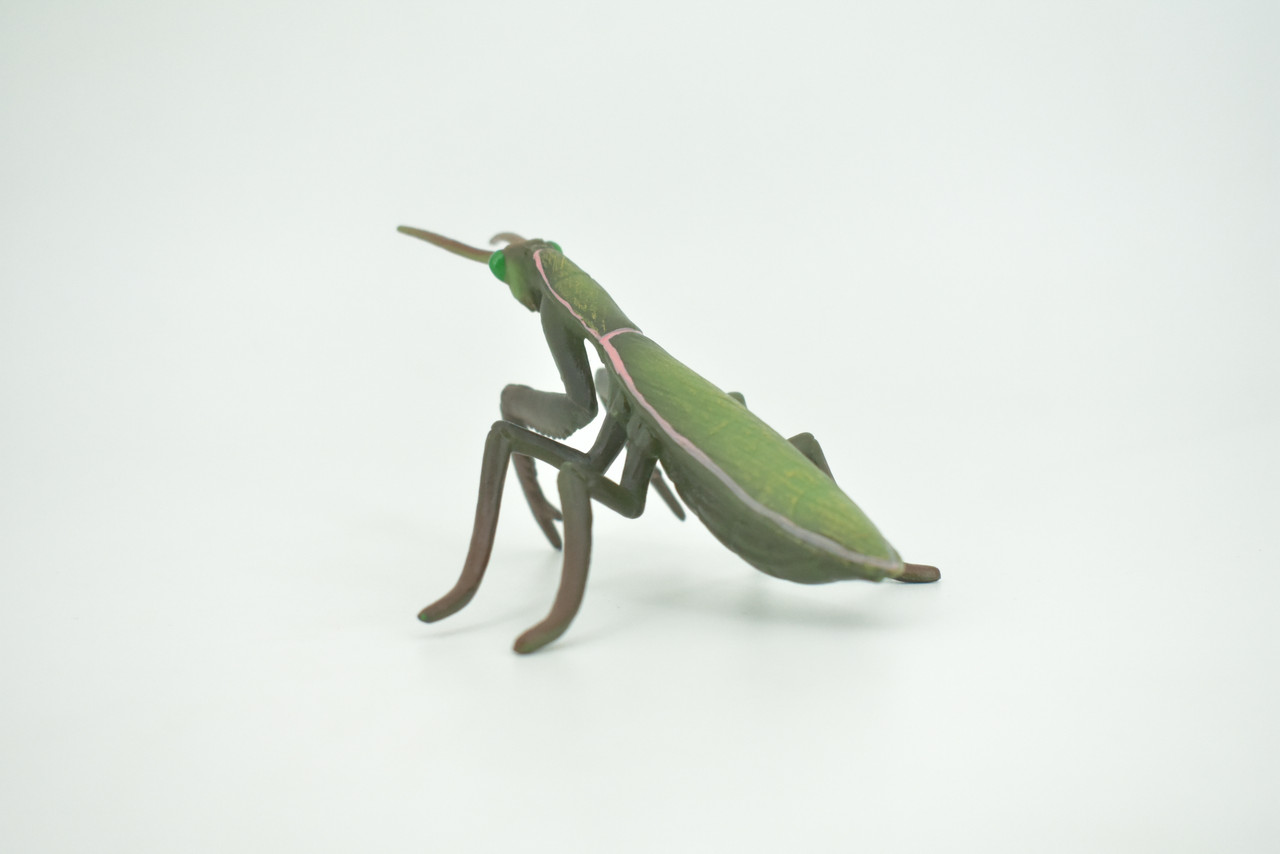 Praying Mantis, Mantodea,  Museum Quality, Rubber Insect, Design, Educational, Hand Painted, Figure, Lifelike Toy, Model, Figurine, Replica, Gift,   5"   CH302 BB181