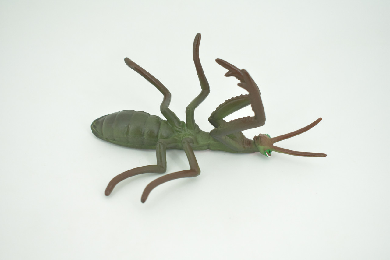 Praying Mantis, Mantodea,  Museum Quality, Rubber Insect, Design, Educational, Hand Painted, Figure, Lifelike Toy, Model, Figurine, Replica, Gift,   5"   CH302 BB181