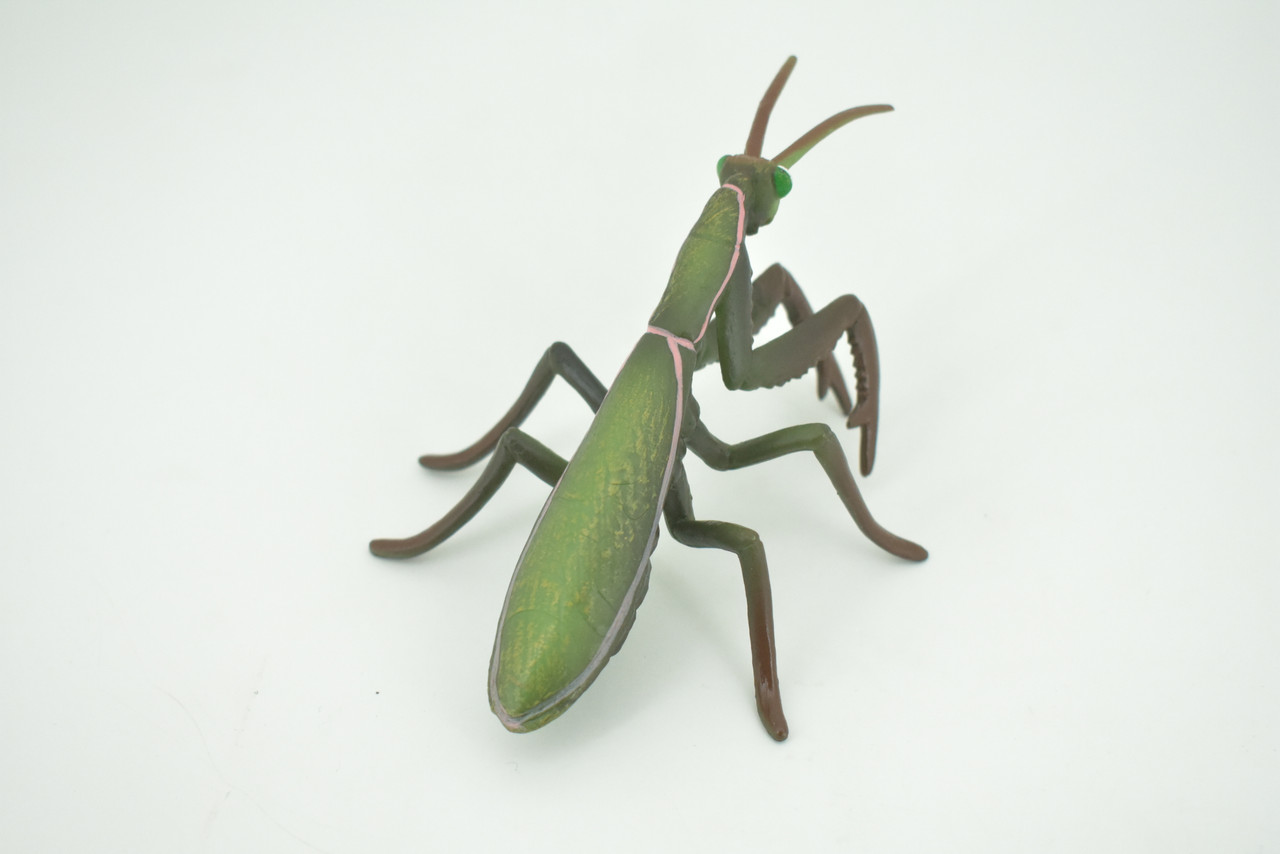 Praying Mantis, Mantodea,  Museum Quality, Rubber Insect, Design, Educational, Hand Painted, Figure, Lifelike Toy, Model, Figurine, Replica, Gift,   5"   CH302 BB181