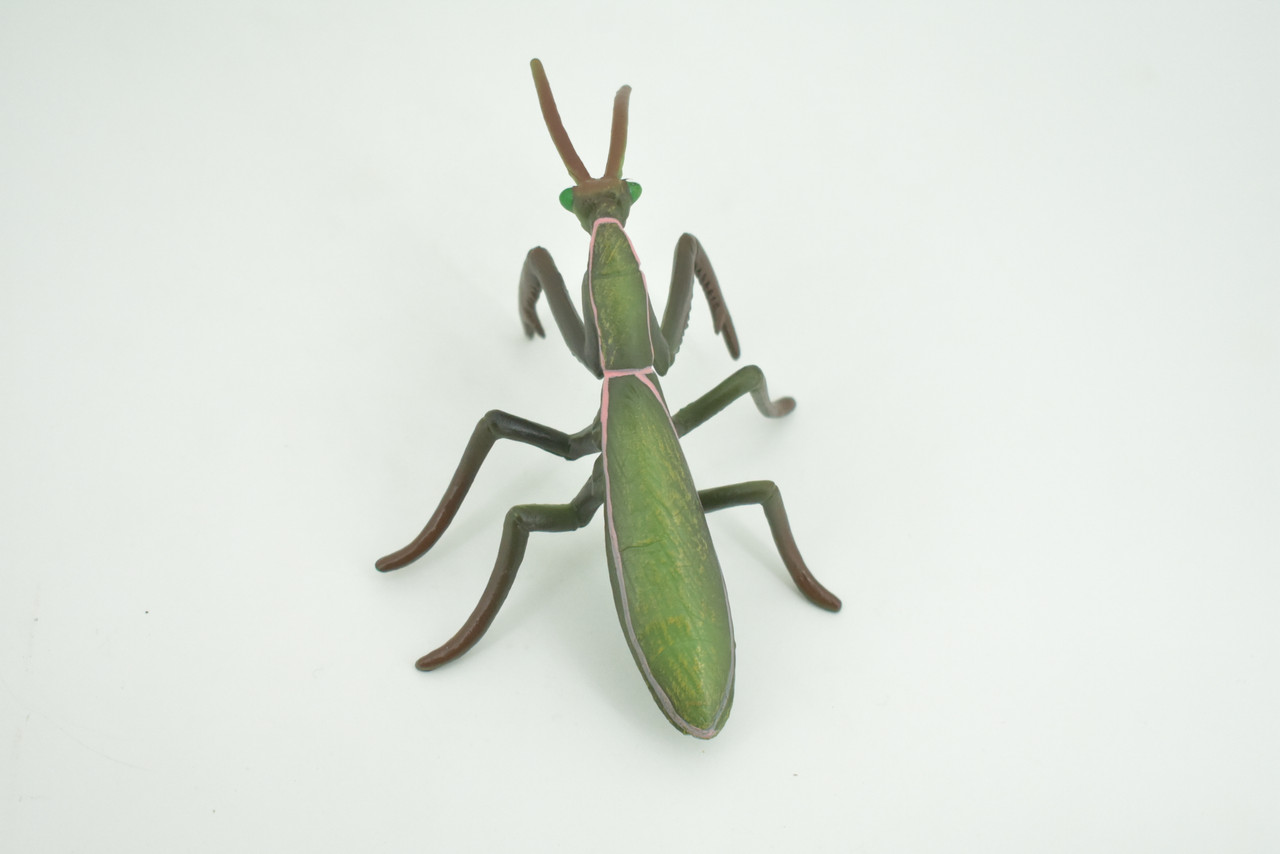 Praying Mantis, Mantodea,  Museum Quality, Rubber Insect, Design, Educational, Hand Painted, Figure, Lifelike Toy, Model, Figurine, Replica, Gift,   5"   CH302 BB181