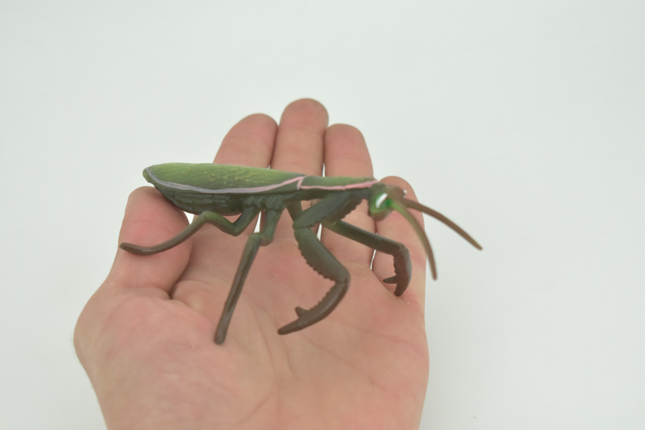 Praying Mantis, Mantodea,  Museum Quality, Rubber Insect, Design, Educational, Hand Painted, Figure, Lifelike Toy, Model, Figurine, Replica, Gift,   5"   CH302 BB181