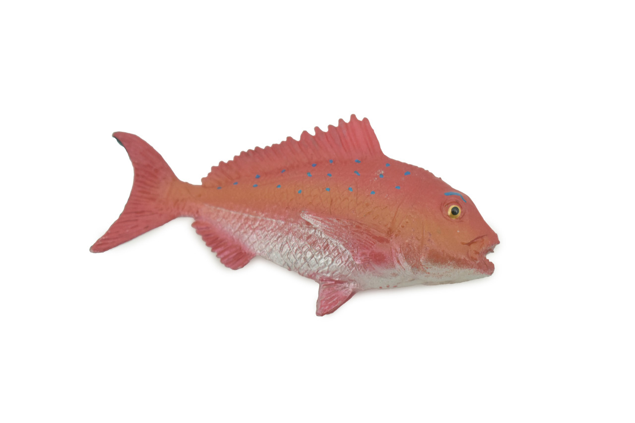 Red Snapper, Fish, Onaga, Rockfish, High Quality, Hand Painted, Hard Rubber, Realistic, Figure, Model, Toy, Kids, Educational, Gift,     3"     CH303 BB181