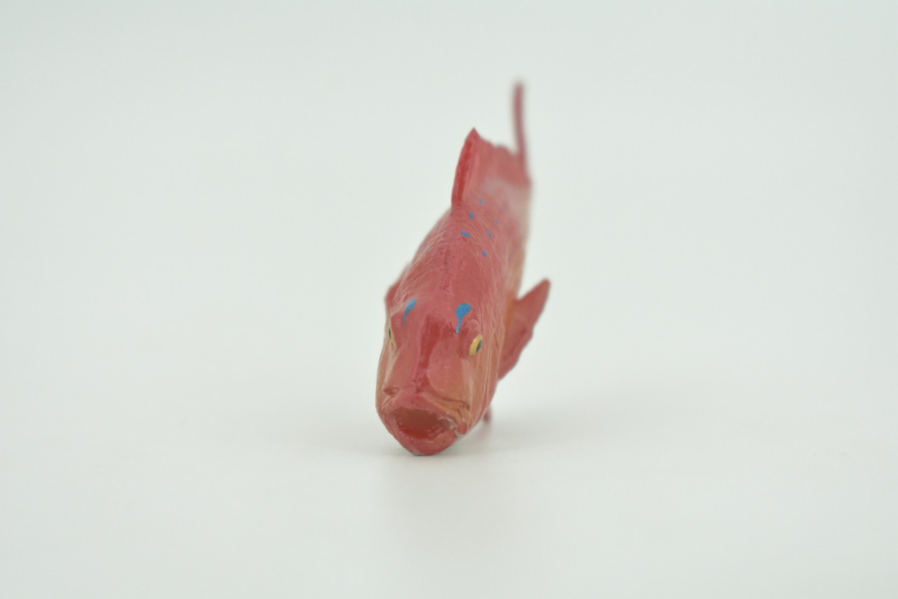 Red Snapper, Fish, Onaga, Rockfish, High Quality, Hand Painted, Hard Rubber, Realistic, Figure, Model, Toy, Kids, Educational, Gift,     3"     CH303 BB181