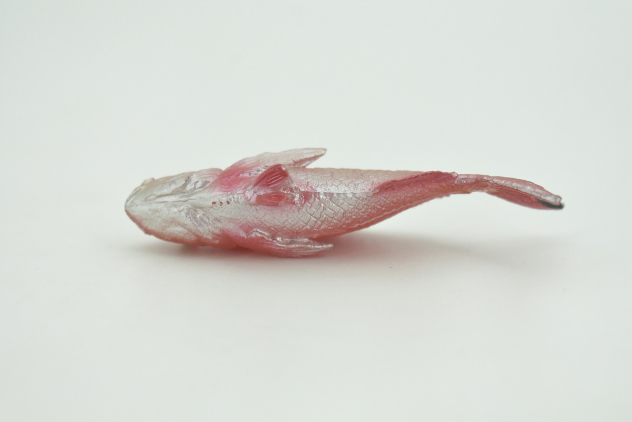 Red Snapper, Fish, Onaga, Rockfish, High Quality, Hand Painted, Hard Rubber, Realistic, Figure, Model, Toy, Kids, Educational, Gift,     3"     CH303 BB181