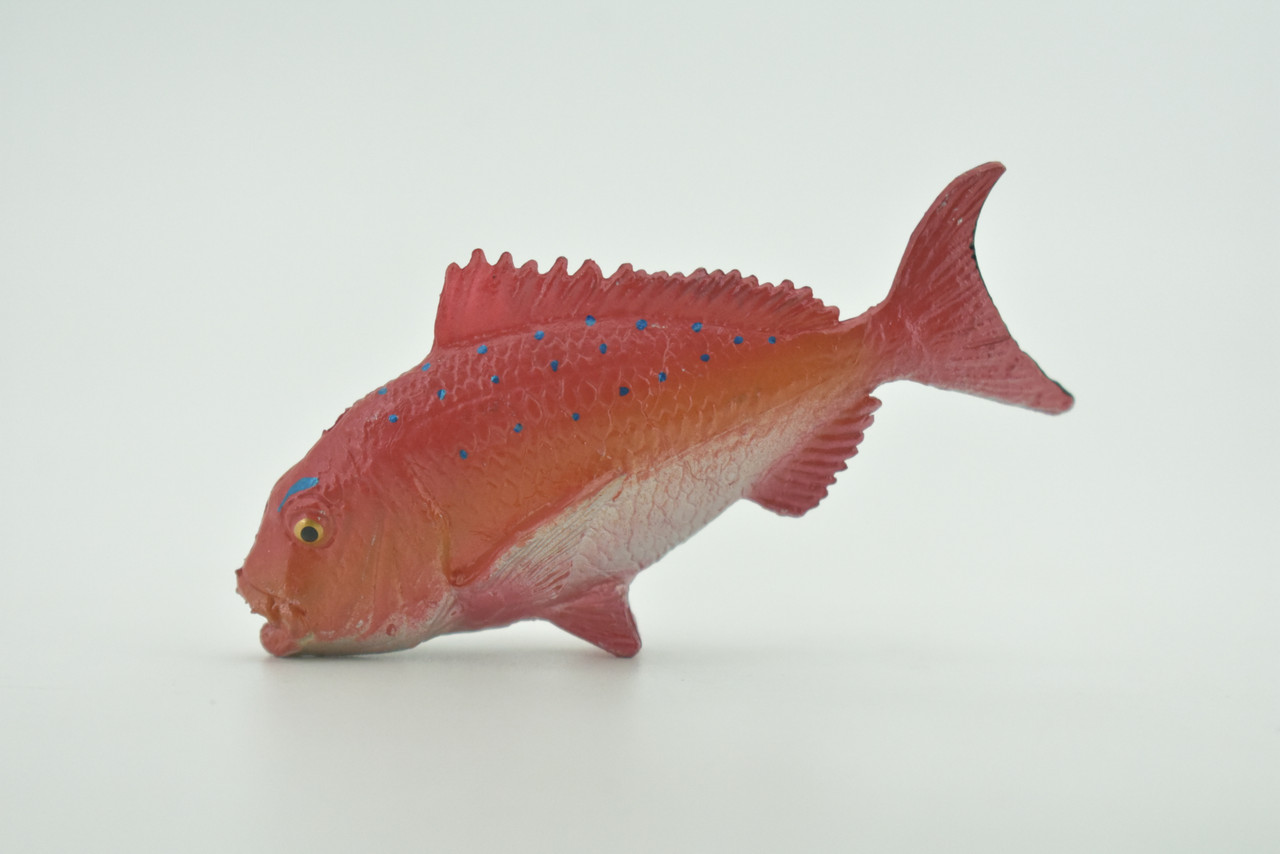 Red Snapper, Fish, Onaga, Rockfish, High Quality, Hand Painted, Hard Rubber, Realistic, Figure, Model, Toy, Kids, Educational, Gift,     3"     CH303 BB181