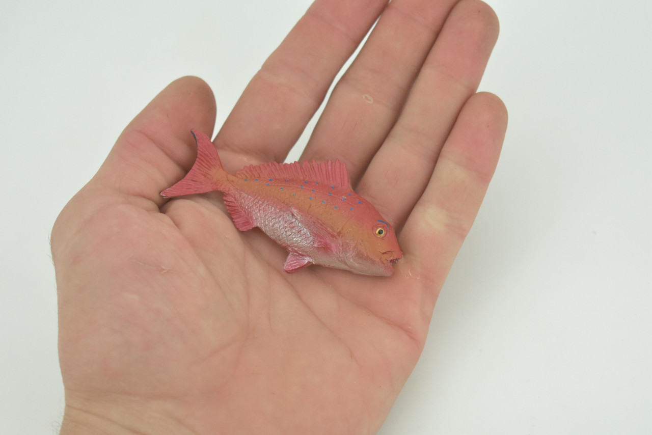 Red Snapper, Fish, Onaga, Rockfish, High Quality, Hand Painted, Hard Rubber, Realistic, Figure, Model, Toy, Kids, Educational, Gift,     3"     CH303 BB181