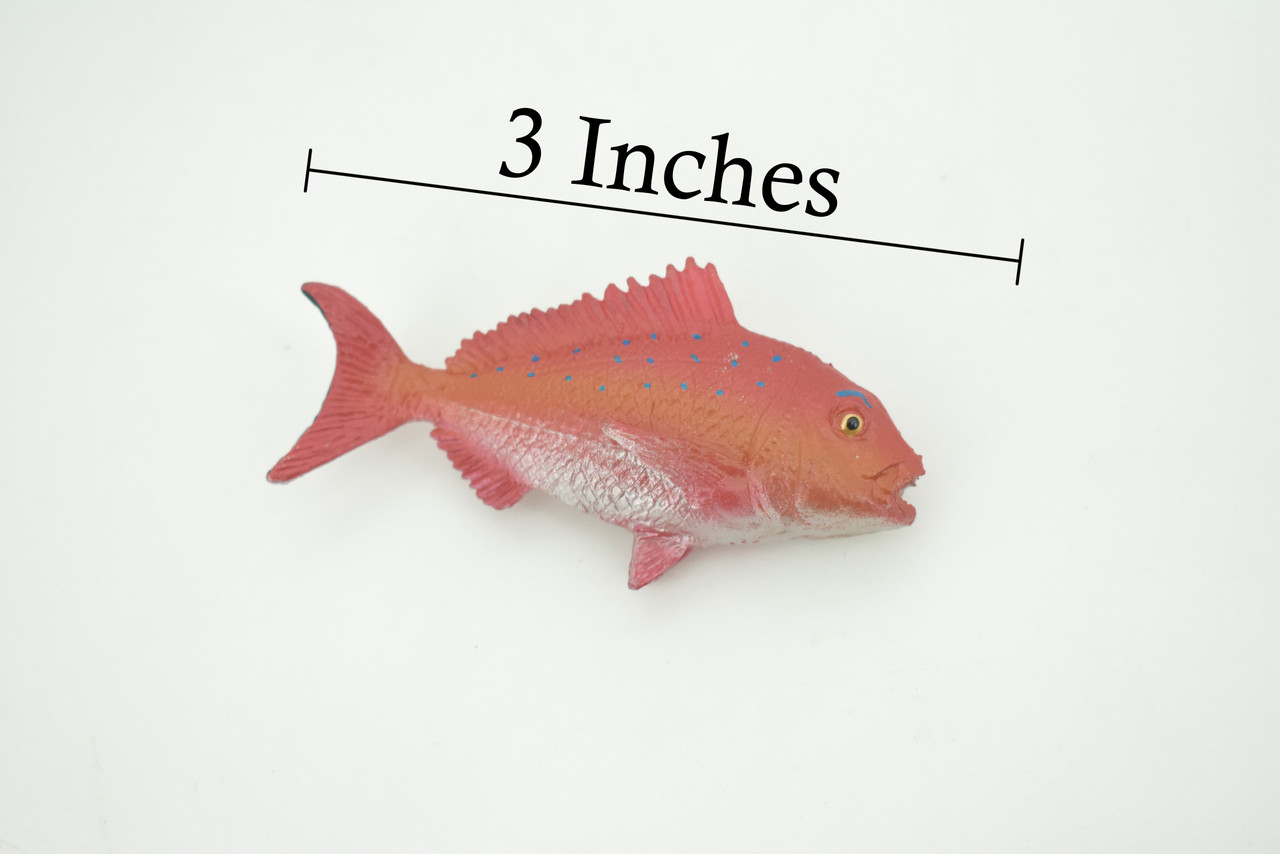 Red Snapper, Fish, Onaga, Rockfish, High Quality, Hand Painted, Hard Rubber, Realistic, Figure, Model, Toy, Kids, Educational, Gift,     3"     CH303 BB181