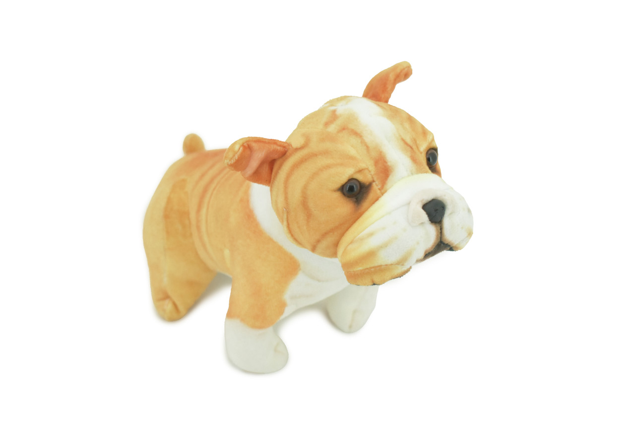 Bulldog, American, English, Canine, Dog Breed, Very Nice Plush, Stuffed Animal, Educational, Toy, Kids, Realistic Figure, Educational, Gift,     5 1/2"         WR16 BB227 