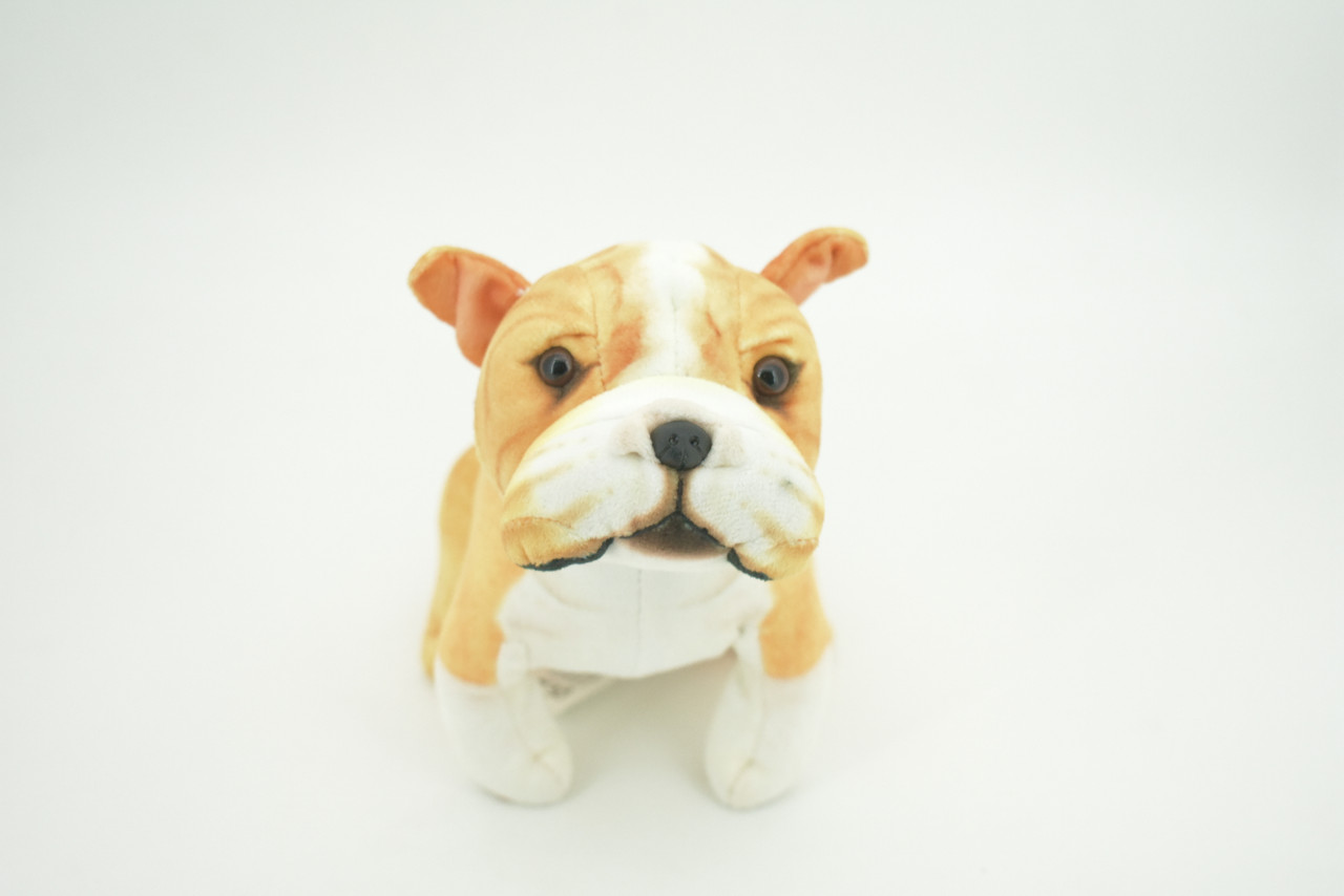 Bulldog, American, English, Canine, Dog Breed, Very Nice Plush, Stuffed Animal, Educational, Toy, Kids, Realistic Figure, Educational, Gift,     5 1/2"         WR16 BB227 