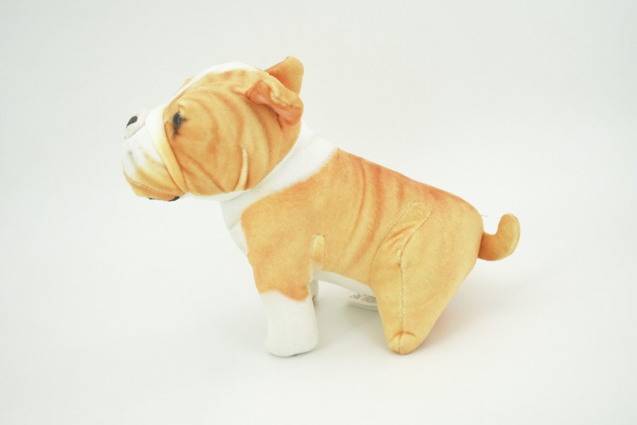 Bulldog, American, English, Canine, Dog Breed, Very Nice Plush, Stuffed Animal, Educational, Toy, Kids, Realistic Figure, Educational, Gift,     5 1/2"         WR16 BB227 