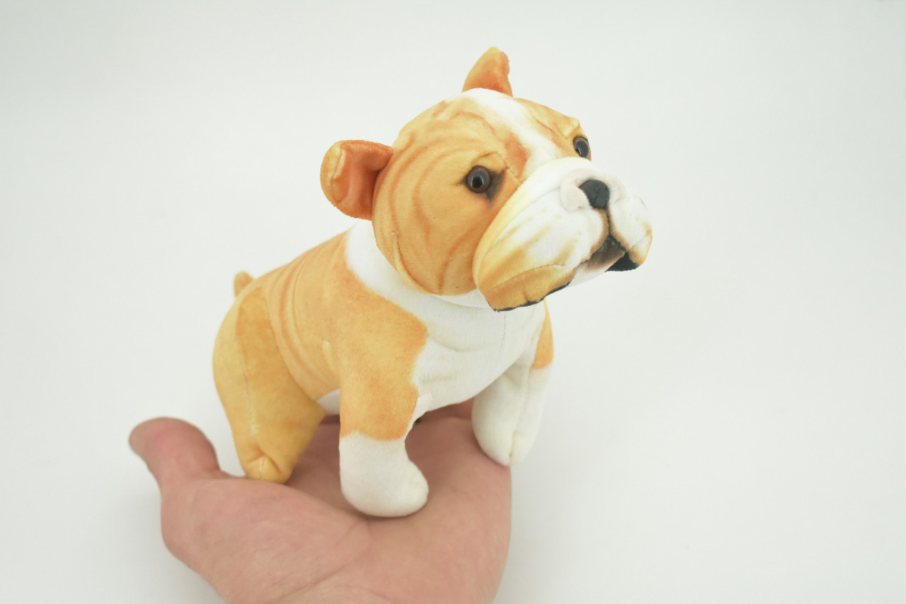 Bulldog, American, English, Canine, Dog Breed, Very Nice Plush, Stuffed Animal, Educational, Toy, Kids, Realistic Figure, Educational, Gift,     5 1/2"         WR16 BB227 