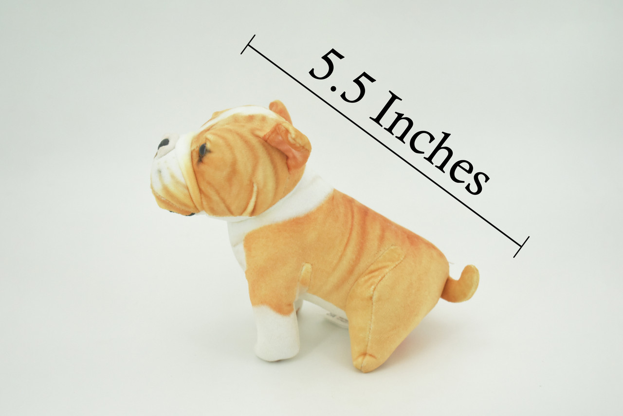 Bulldog, American, English, Canine, Dog Breed, Very Nice Plush, Stuffed Animal, Educational, Toy, Kids, Realistic Figure, Educational, Gift,     5 1/2"         WR16 BB227 