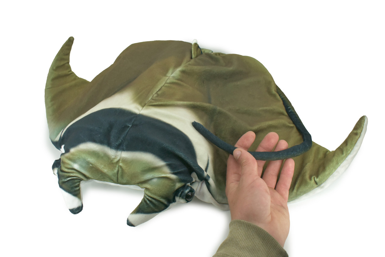 Manta Ray, Devil Fish, Ocean, Marine, Very Nice Plush, Stuffed Animal, Educational, Toy, Kids, Realistic Figure, Educational, Gift,       22"        WR24 BB45
