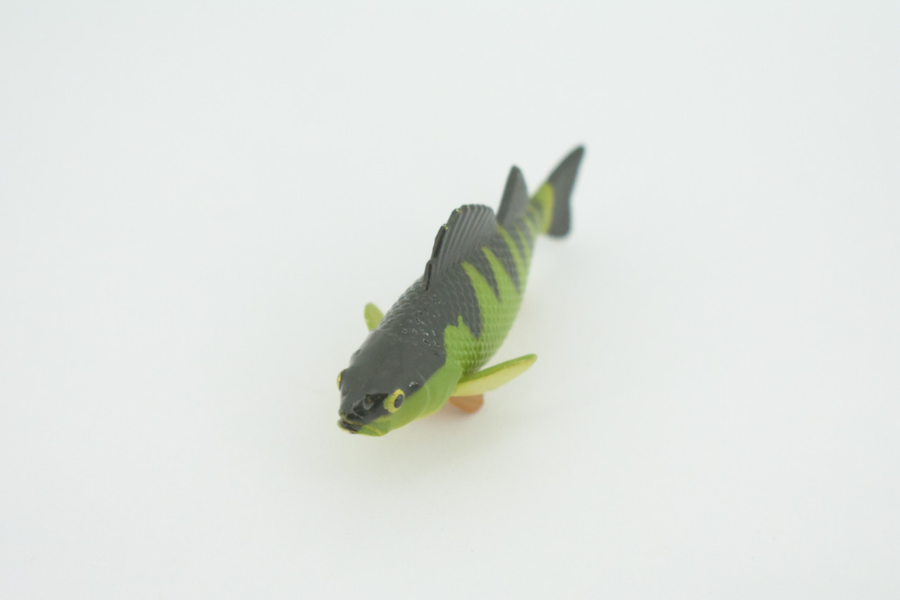 Yellow Perch, Hand Painted, Educational, Rubber Fish, Realistic Figure, Lifelike Model, Figurine, Replica, Gift,      2 3/4"    SF14 B31   