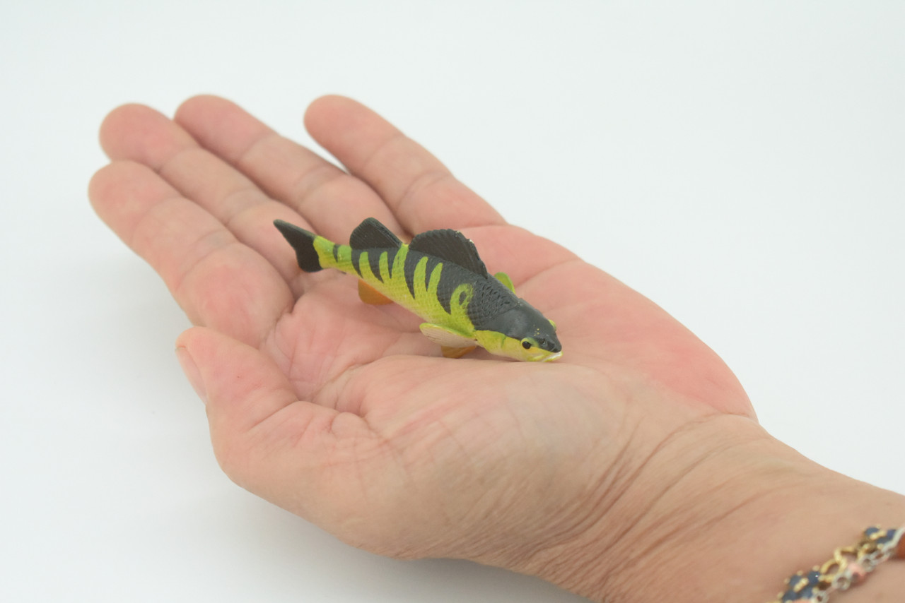 Yellow Perch, Hand Painted, Educational, Rubber Fish, Realistic Figure, Lifelike Model, Figurine, Replica, Gift,      2 3/4"    SF14 B31   