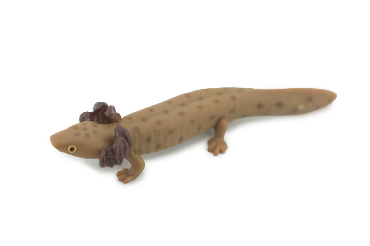 Mudpuppy, Common, Hand Painted, Educational, Rubber Salamander, Realistic Figure, Lifelike Model, Figurine, Replica, Gift,    3"     SF16 B31   
