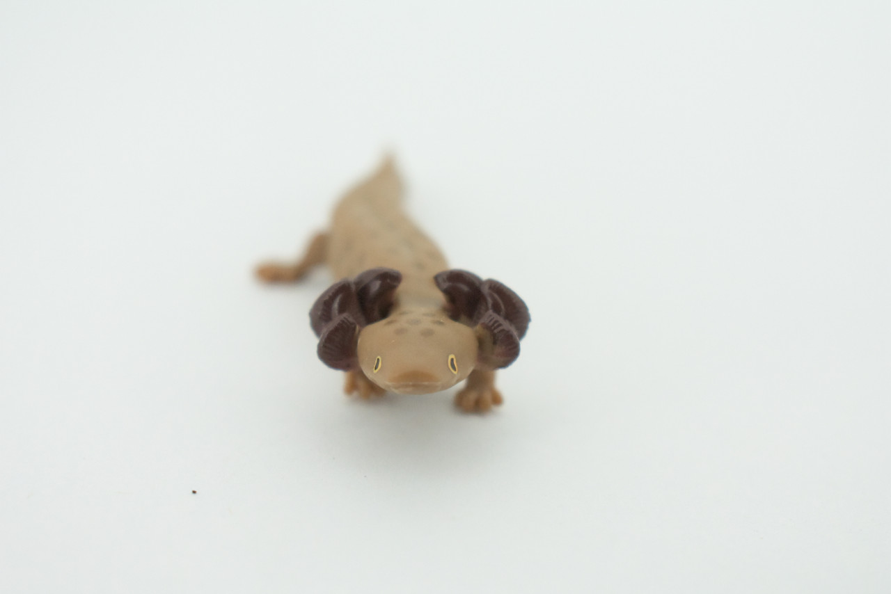 Mudpuppy, Common, Hand Painted, Educational, Rubber Salamander, Realistic Figure, Lifelike Model, Figurine, Replica, Gift,    3"     SF16 B31   